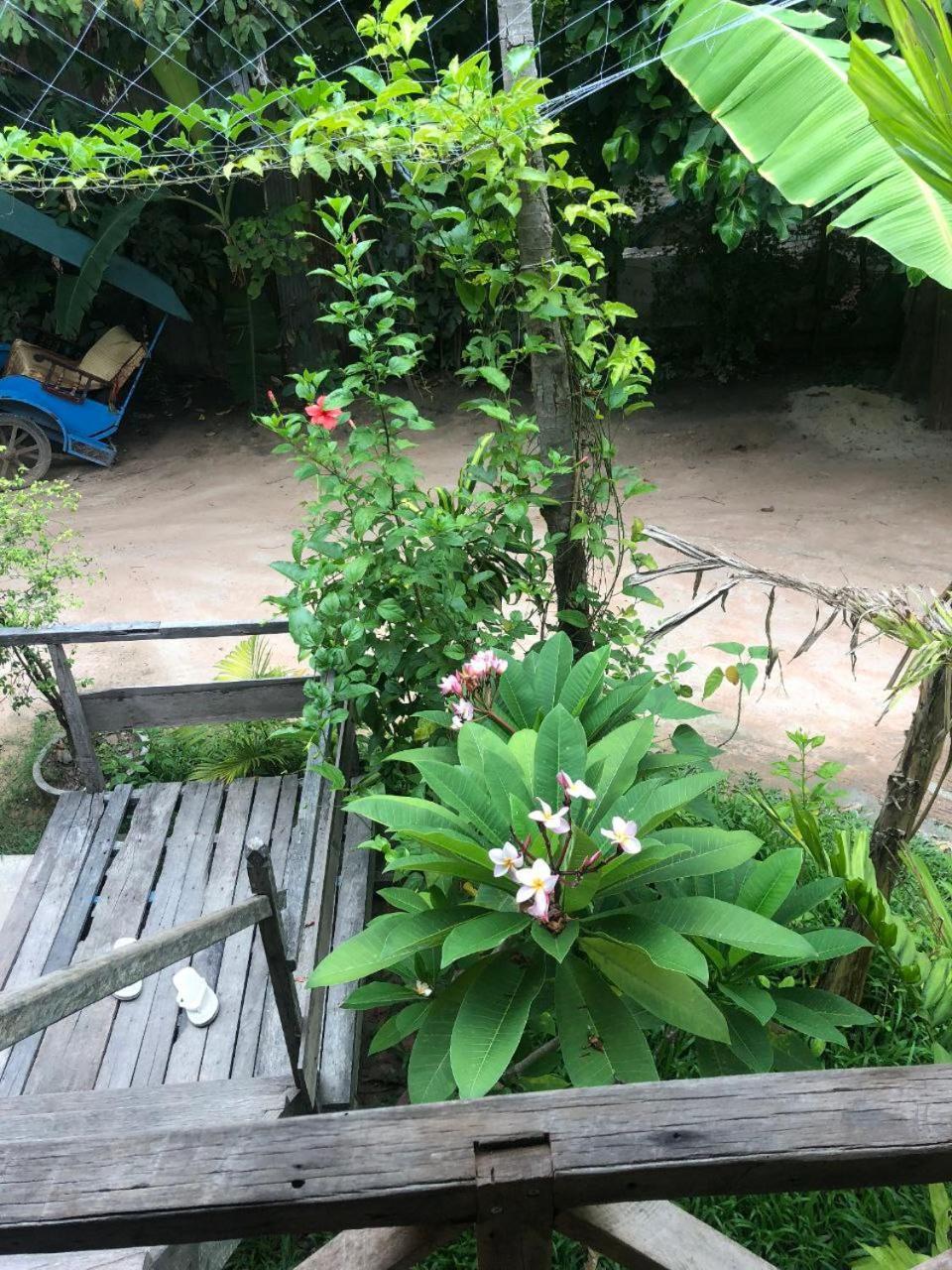 Sok Phen Homestay Siem Reap Luaran gambar