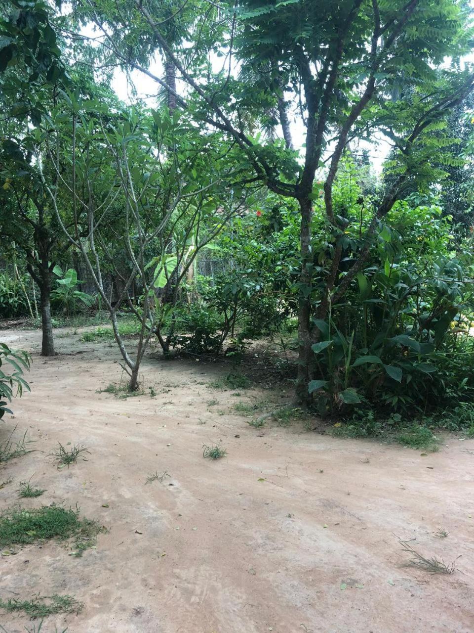 Sok Phen Homestay Siem Reap Luaran gambar