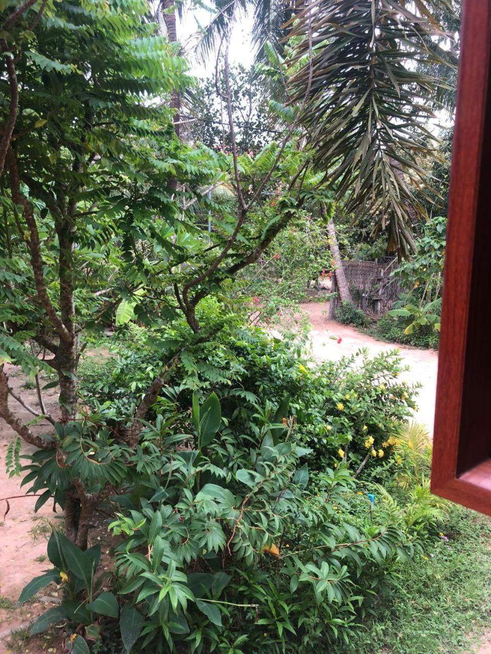 Sok Phen Homestay Siem Reap Luaran gambar