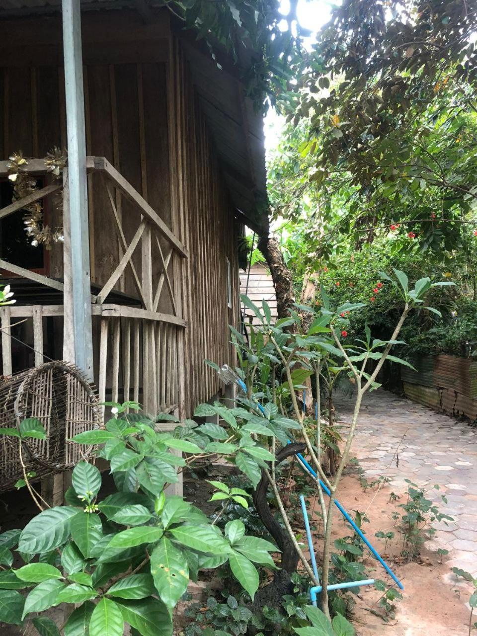 Sok Phen Homestay Siem Reap Luaran gambar