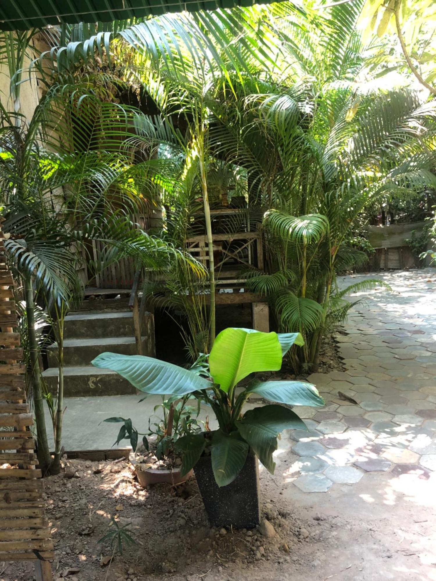Sok Phen Homestay Siem Reap Luaran gambar
